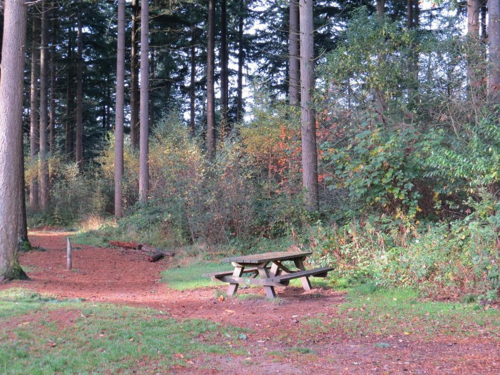 Ferienwohnung De Kasteelboerderij Ruurlo Exterior foto
